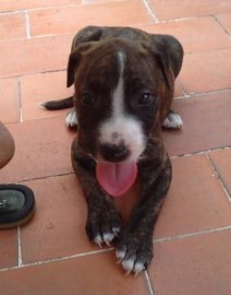 Max